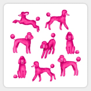 Pink Poodles Magnet